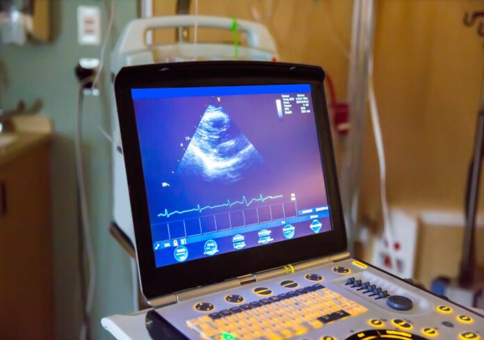 canine ultrasound